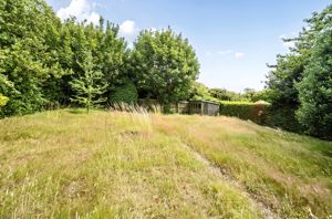 Garden- click for photo gallery